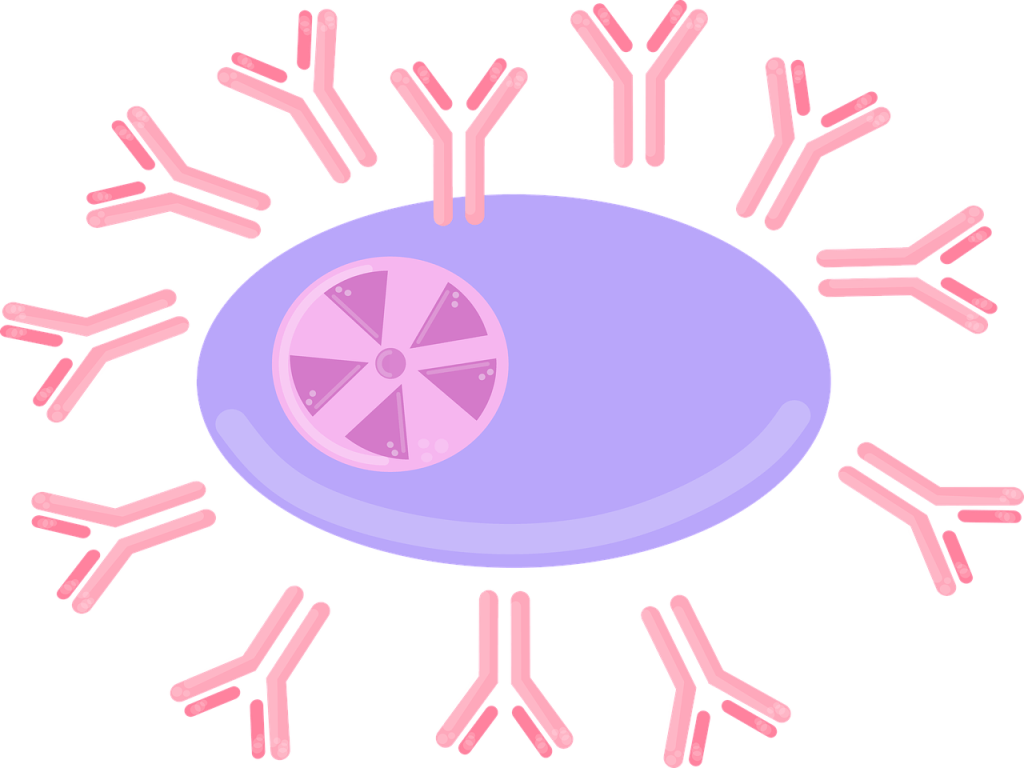 Boost Your Immune System Naturally